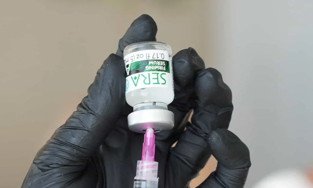 Treatment Enhancers by Verve Aesthetics in North Miami FL | Portfolio